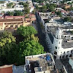 Meet your Posher, Francis